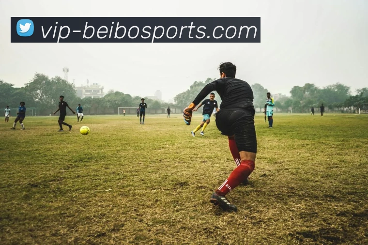 多媒体互动体验