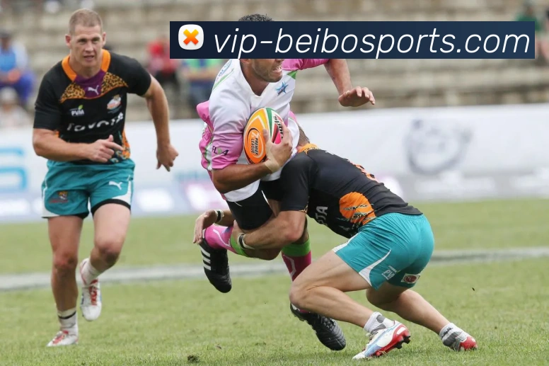 贝博体育APP 高清赛事图